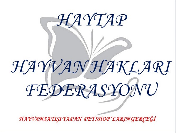 Hayvan Satışı Yapan Petshopların Gerçeği -1