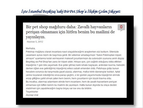 Hayvan Satışı Yapan Petshopların Gerçeği -1
