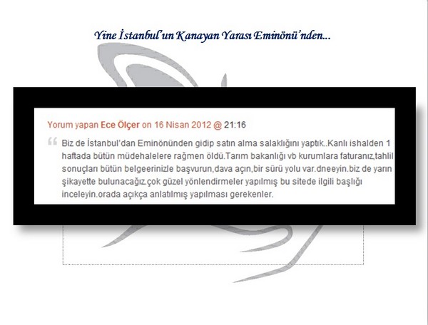 Hayvan Satışı Yapan Petshopların Gerçeği -1