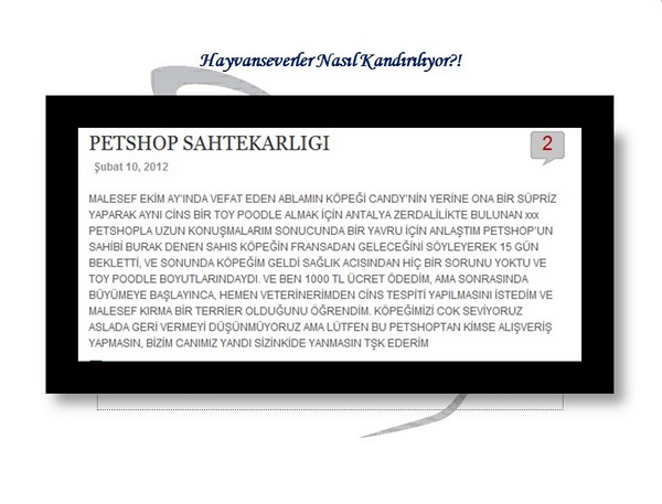 Hayvan Satışı Yapan Petshopların Gerçeği -1