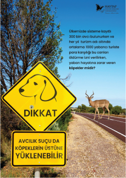 Avcılık suçu köpeklerin mi?