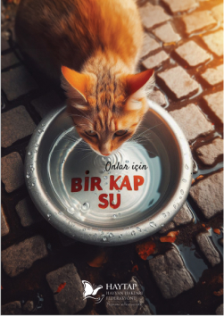 Bir kap su