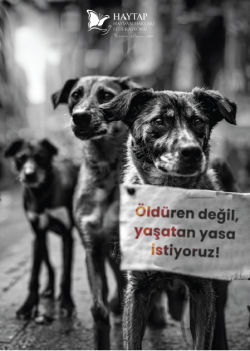 Yaşatan yasa