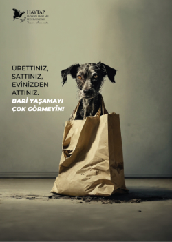 Ürettiniz sattınız