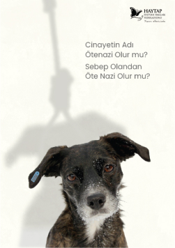 Cinayetin adı