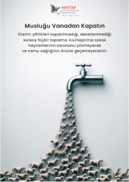 Musluğu vanadan kapatın