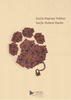 Suçlu sistem