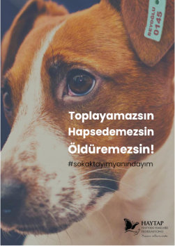 #sokaktayımyanındayım