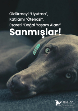 #sokaktayımyanındayım