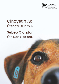 Yasayı geri çek