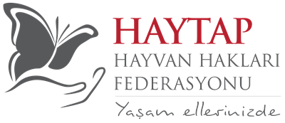 haytap türkçe logo