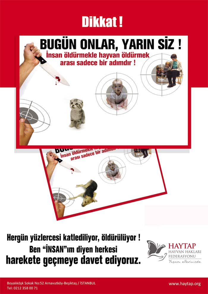 Hayvanlara Eziyet Daha Ne Kadar Kabahatler Kanunu Kapsamında Kalacak