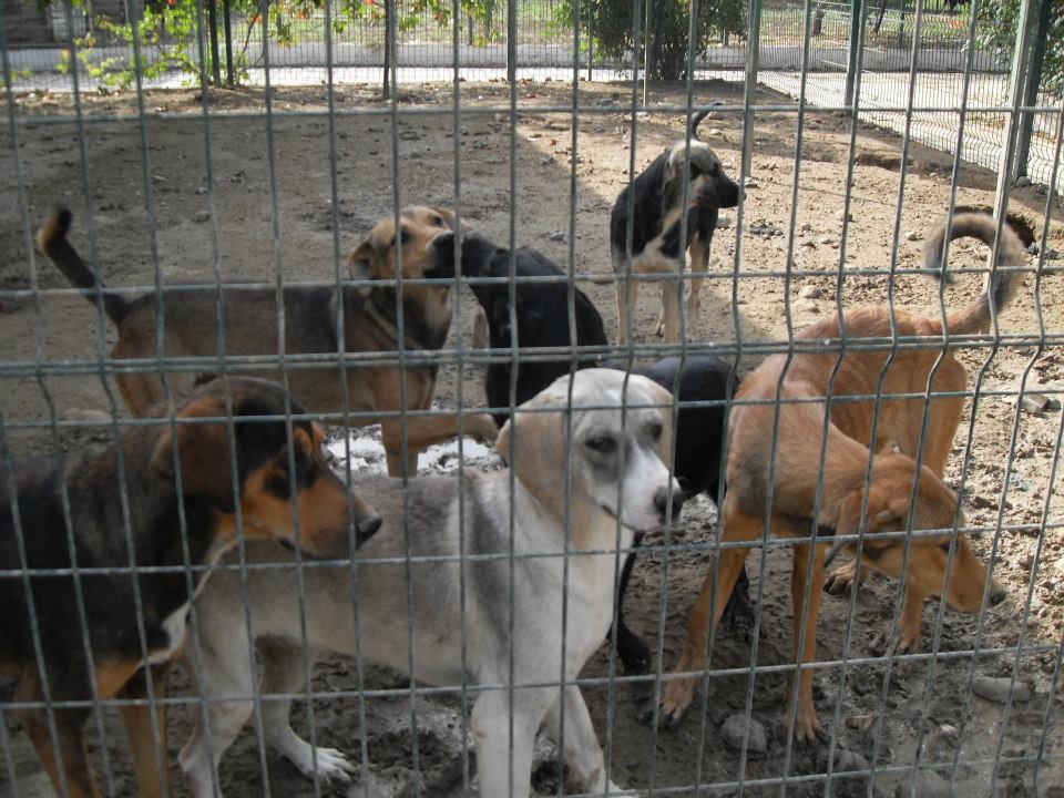 antakya_tulum3