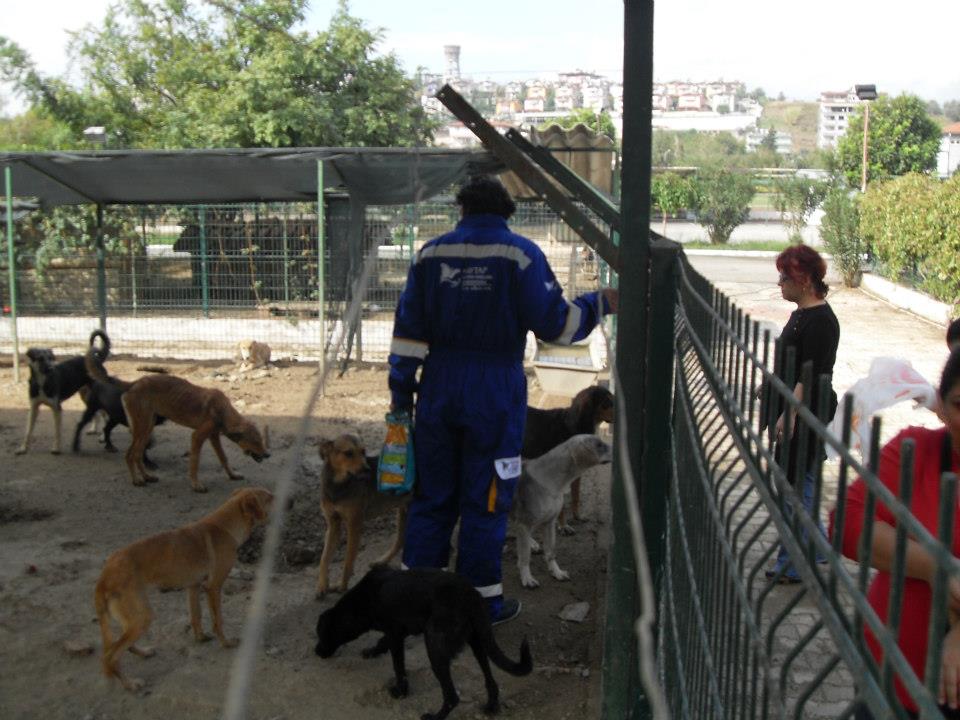 antakya_tulum4