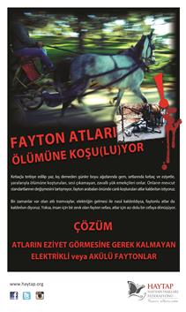 fayton atları ölüme koşuyor