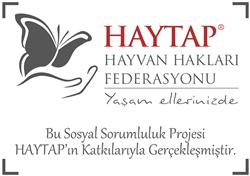 HAYTAP A3 LOGO