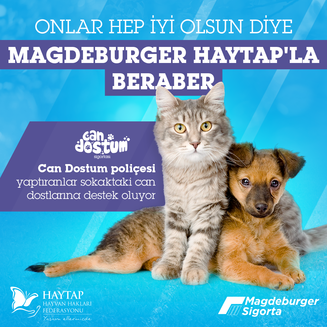 Magdeburger Sigorta Haytap Is Birligiyle Sahipsiz Hayvanlara Destek Verecek Haytap Emekli Hayvanlar Ciftligimiz Haytap Haytap Hayvan Haklari Federasyonu