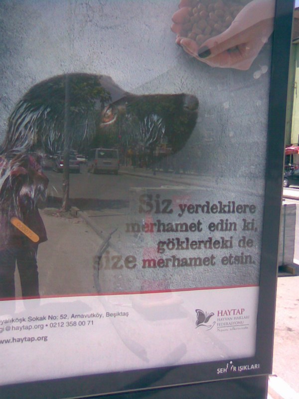 nigde_haytap_afisleri_2012_2