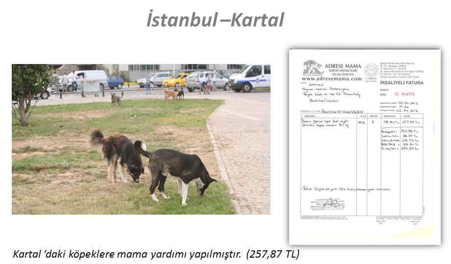 resim016