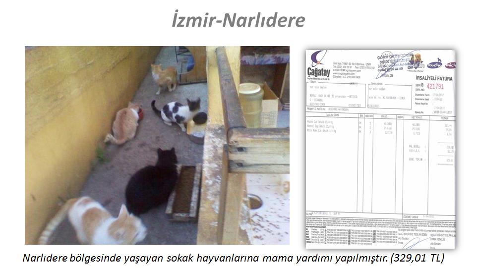 resim21