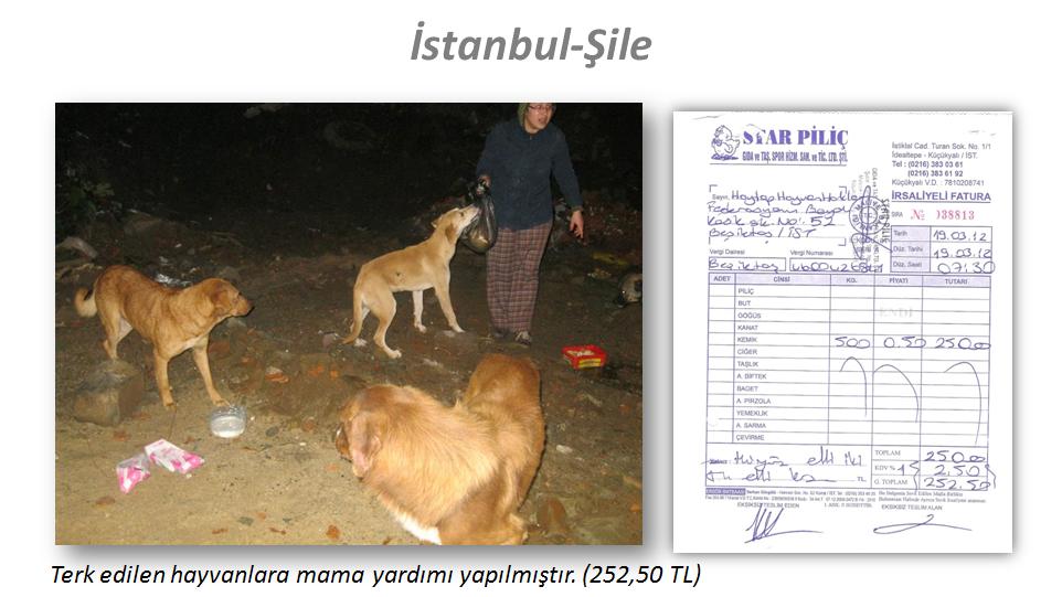 resim31