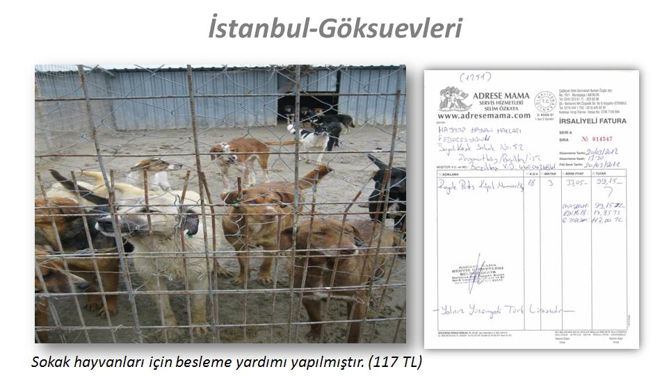 resim32