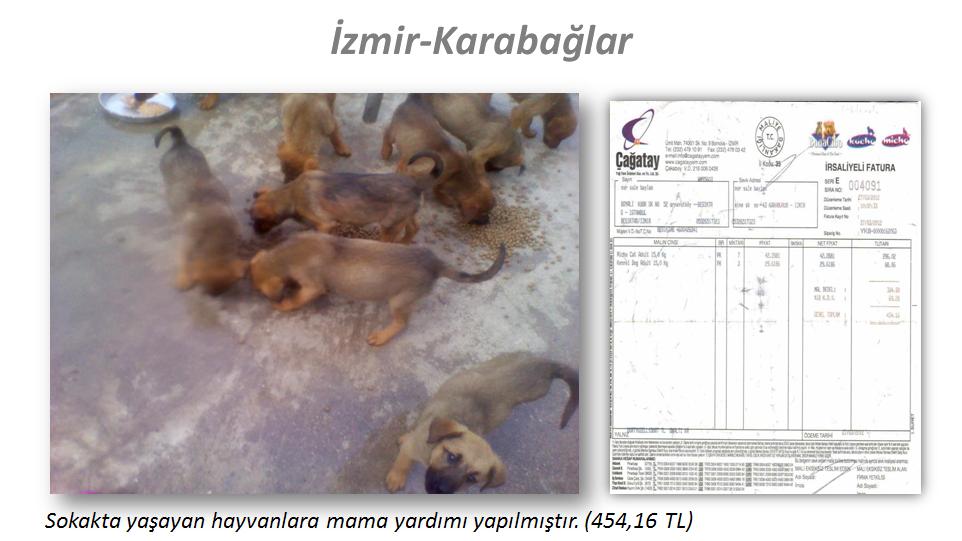 resim35