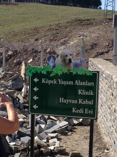 samsun_5.temsilciler_top_2012_00013