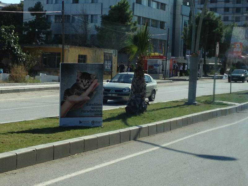 samsun_5.temsilciler_top_2012_00028