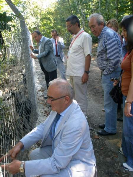 samsun_5.temsilciler_top_2012_013