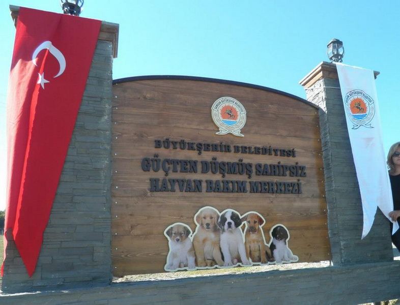 samsun_5.temsilciler_top_2012_14