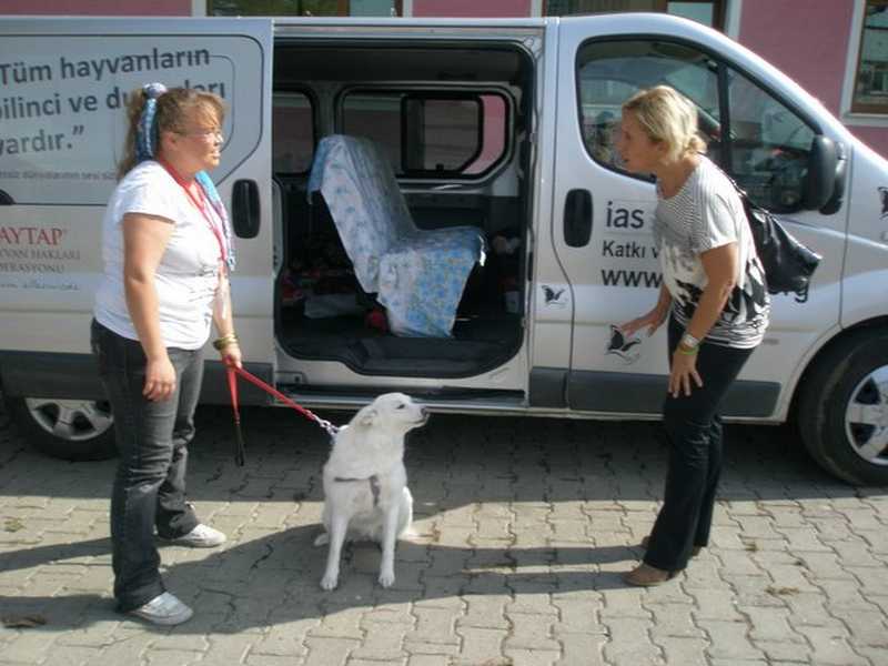 samsun_5.temsilciler_top_2012_26