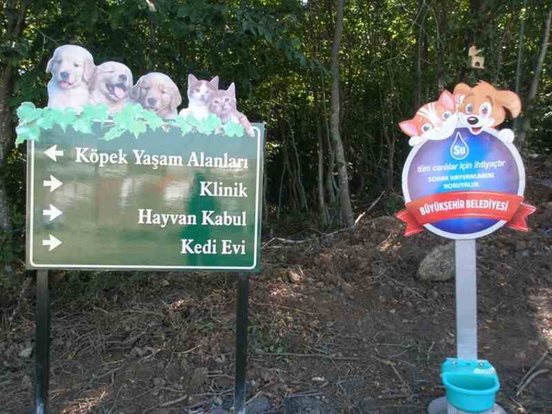 samsun_5.temsilciler_top_2012_29
