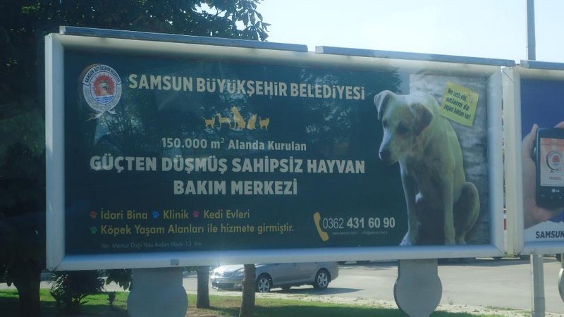 samsun_5.temsilciler_top_2012_3