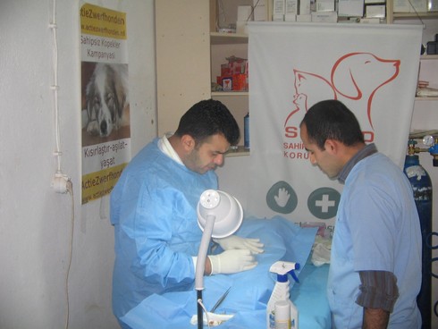 shkd_haytap_ortacada_1