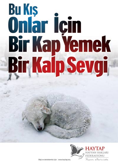 bir_kalp_sevgi_1