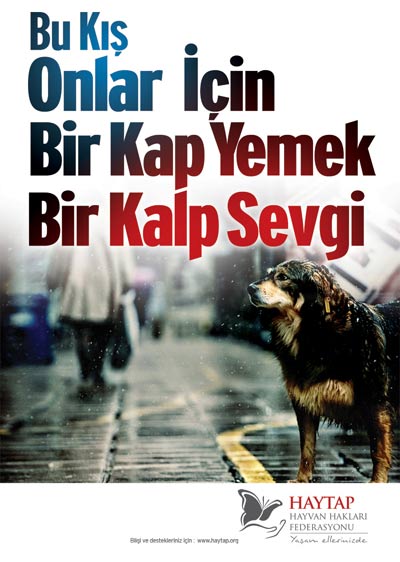 bir_kalp_sevgi_2