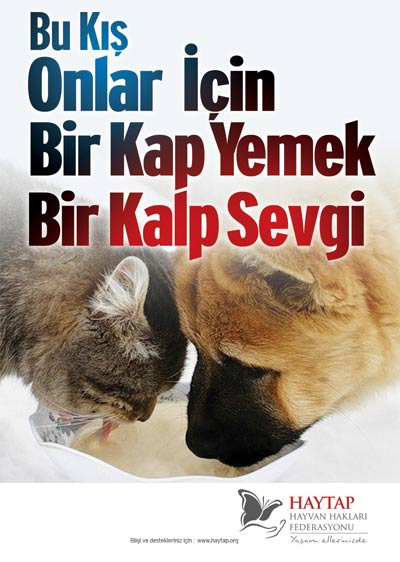 bir_kalp_sevgi_3