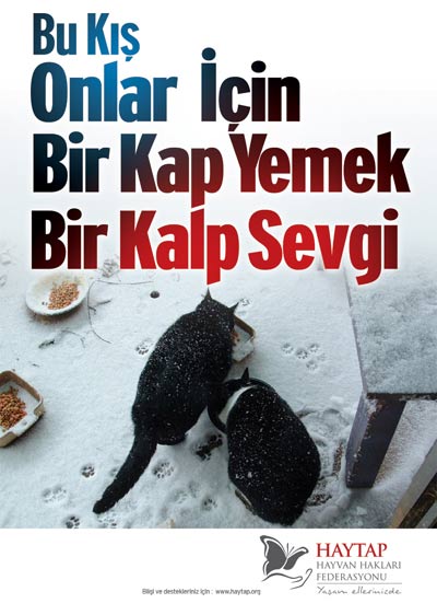 bir_kalp_sevgi_4