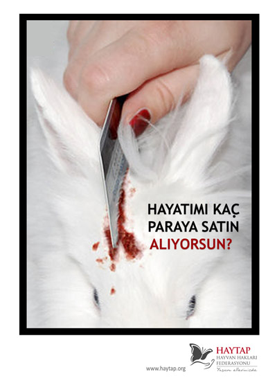 hayatim_kac_para_tavsan