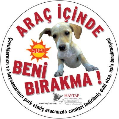 st_aractabirakma_sticker01yeni