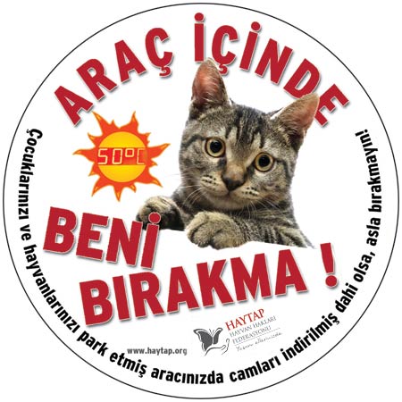 st_aractabirakma_sticker02yenison