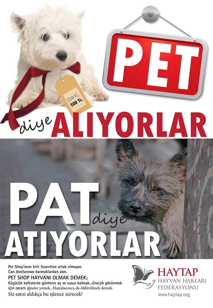 pet_diye_pat